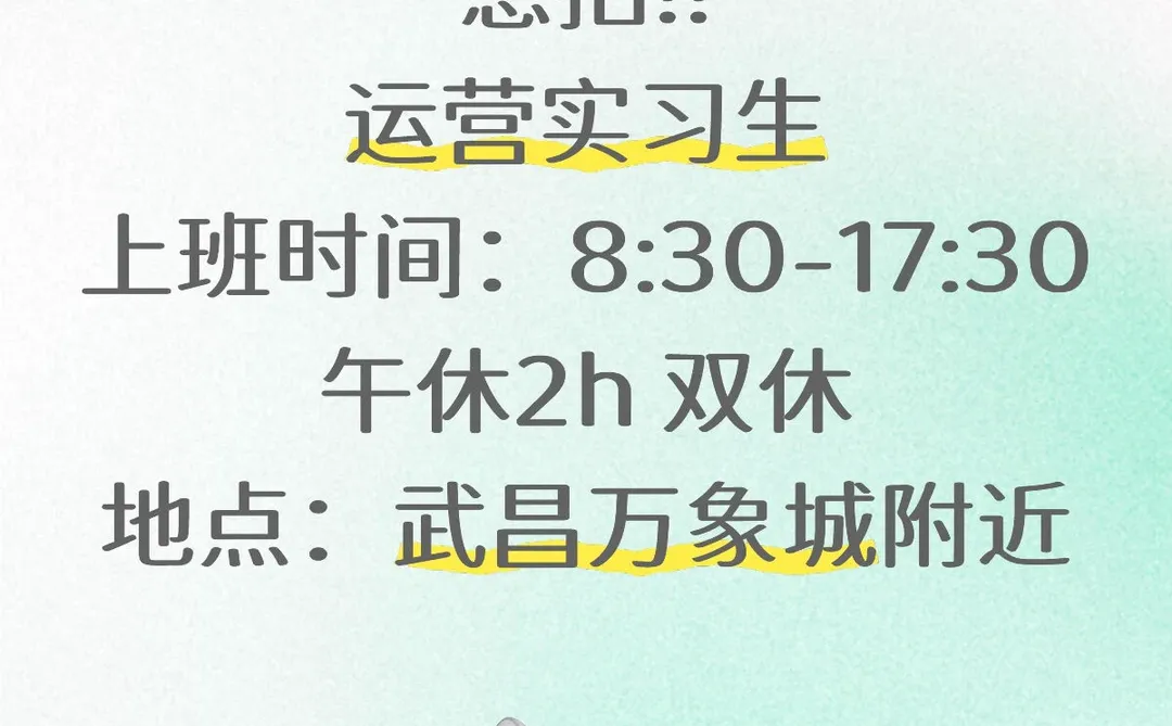 急急急❗武昌招新媒体运营实习生‼️
