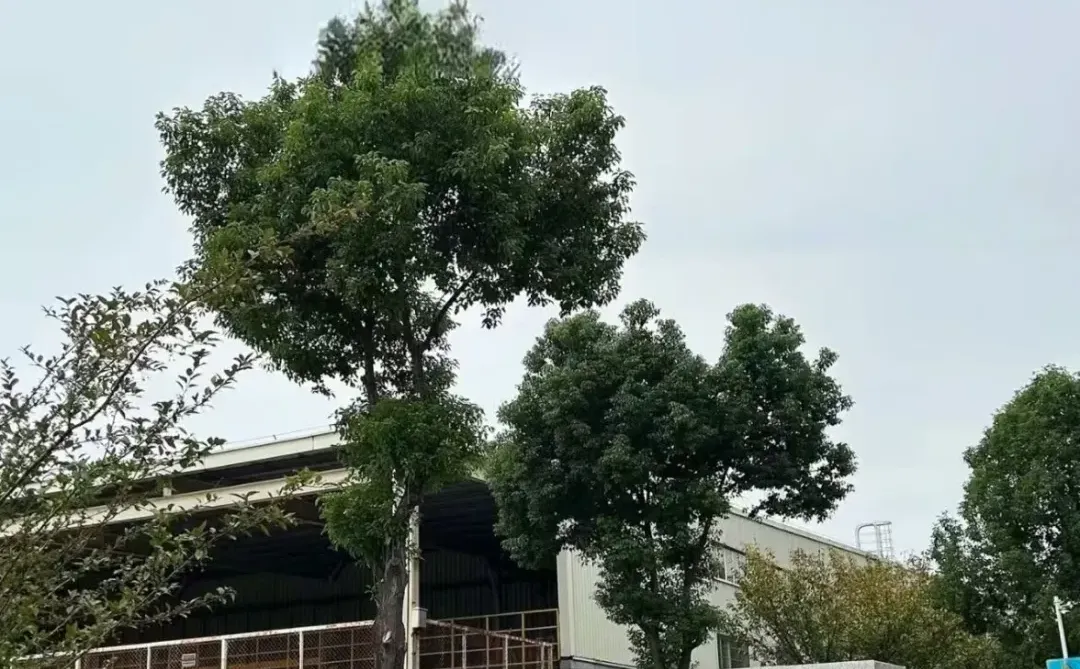 ❤️‍🔥央国企主机厂面试不刷