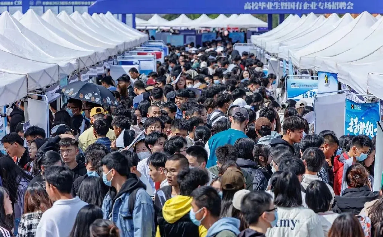 大连招聘会拍摄现场教学