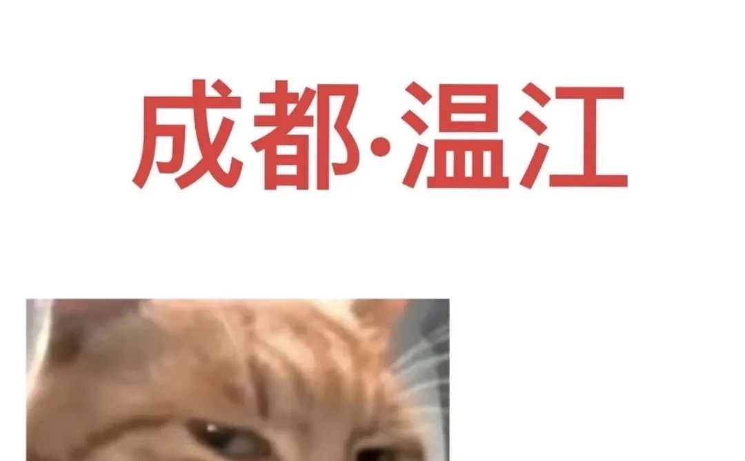 成都温江多岗位招聘！不是中介！公司直招！