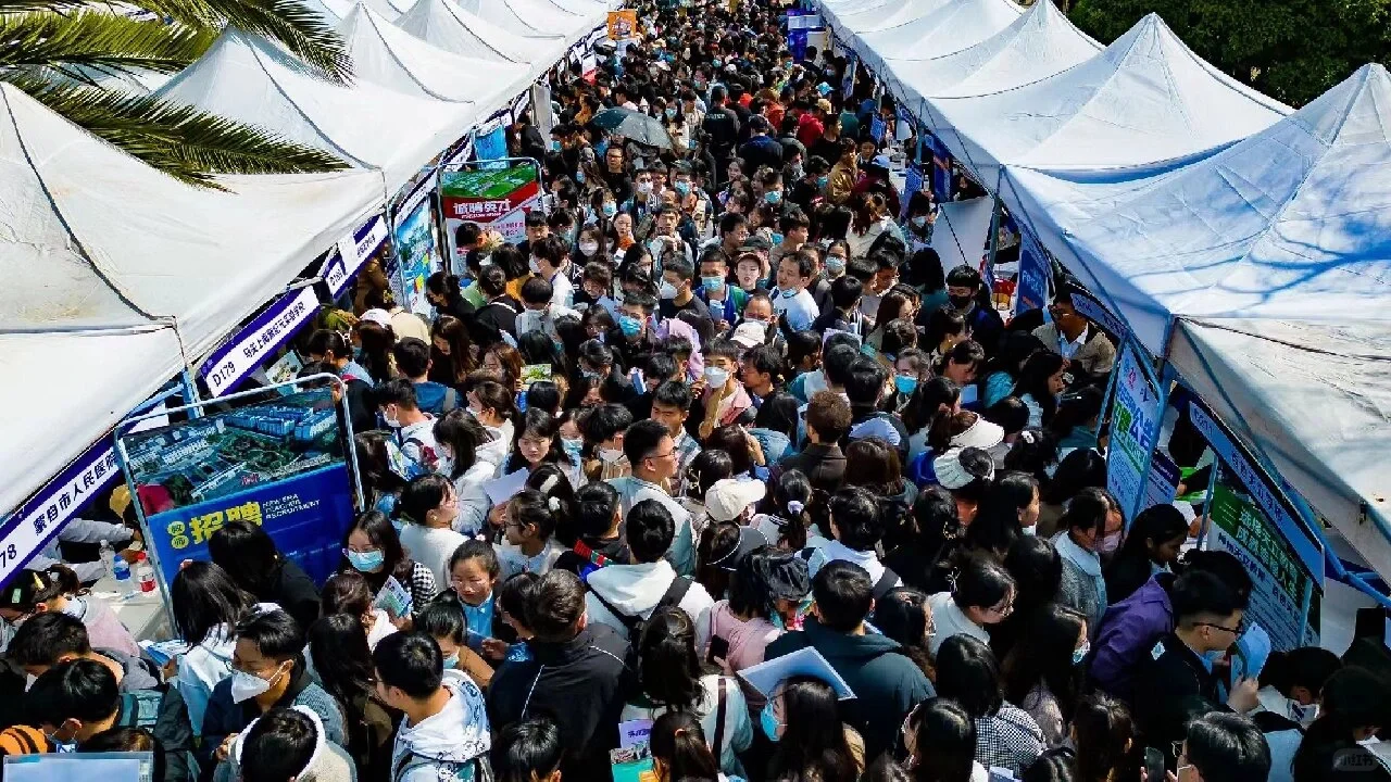 大连招聘会拍摄现场教学