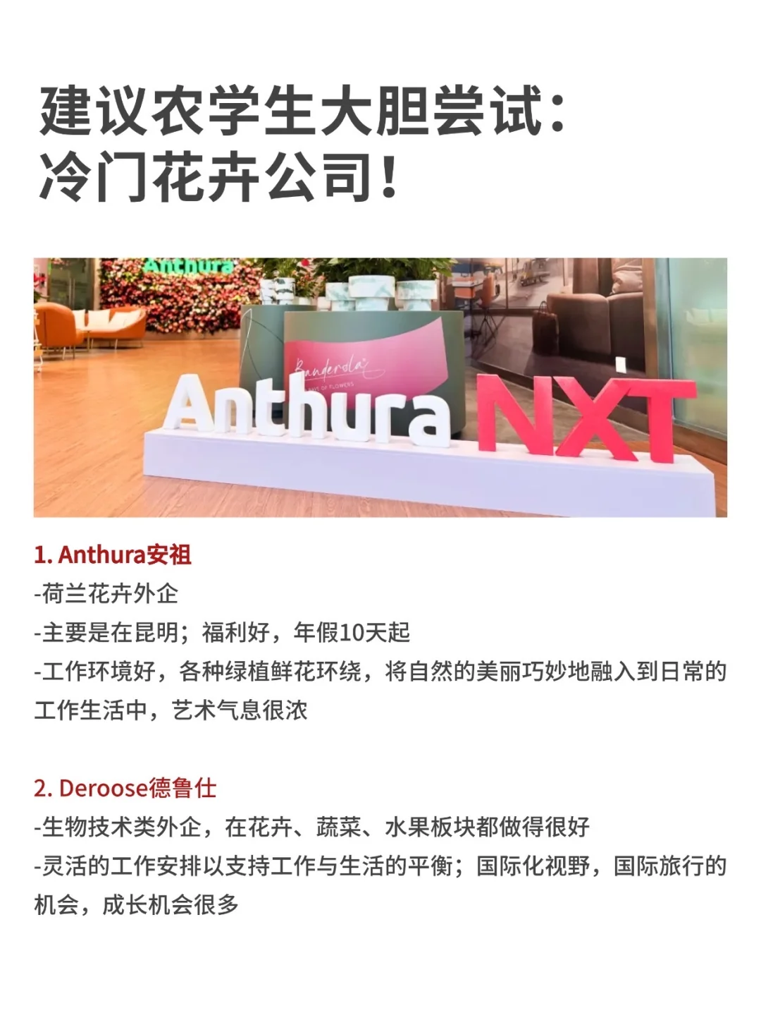 建议农学生大胆尝试：冷门花卉公司！