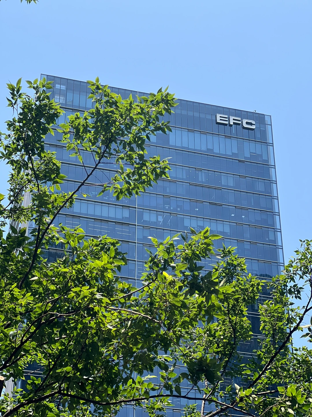 新媒体运营助理招聘（也可以当兼职）