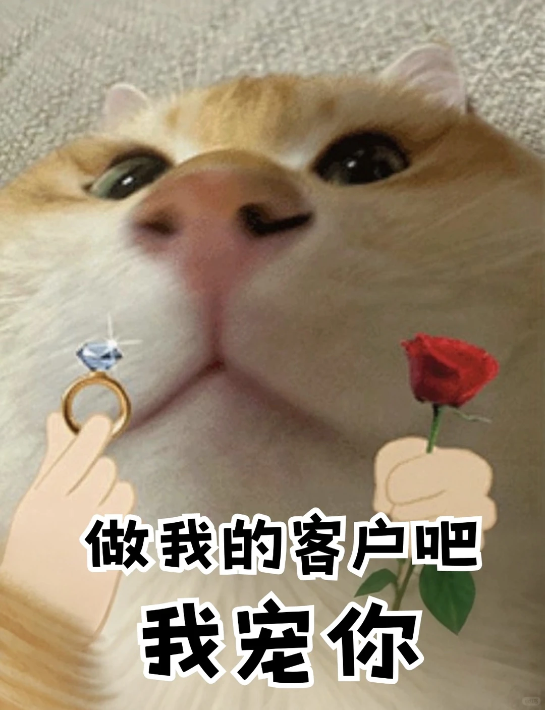 急聘！急聘！！急聘！！！