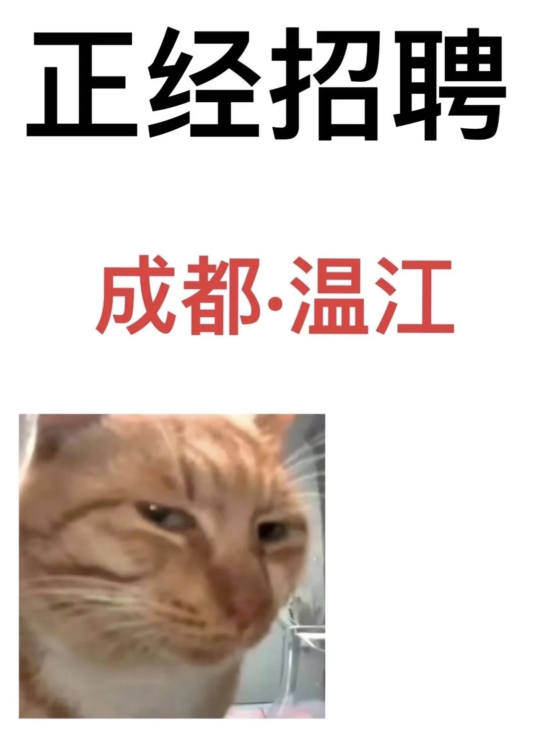 成都温江多岗位招聘！不是中介！公司直招！