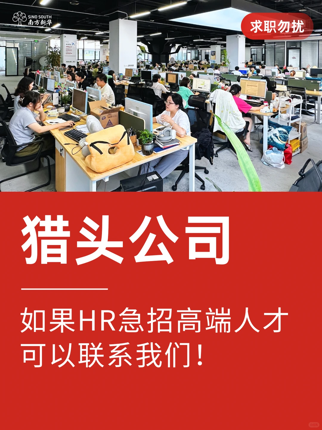 如果HR急招高端人才，可以联系我们！