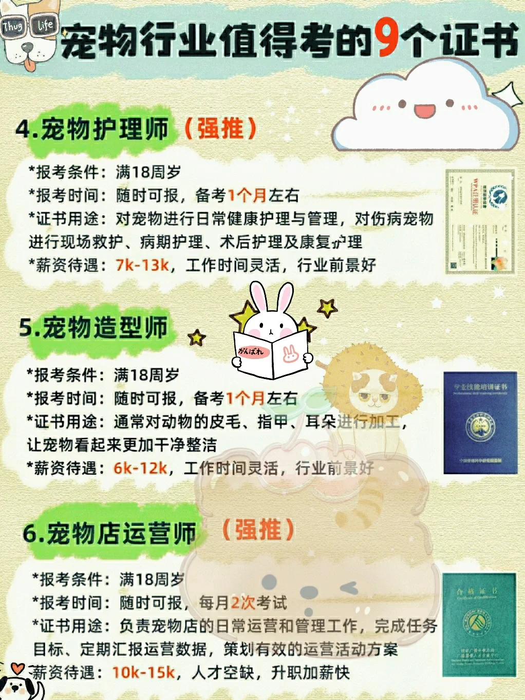 抓住未来十年风口，宠物行业巨吃香