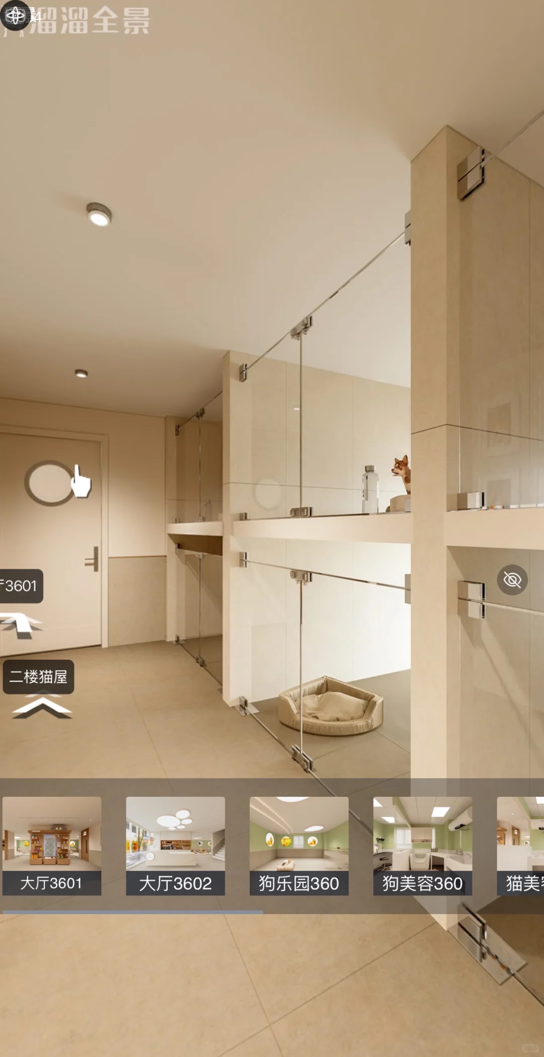 宠物店急聘，撸猫撸狗带薪摸鱼