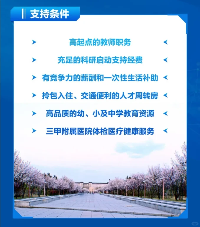 博士行 | 吉林大学2025年国际青年学者论坛
