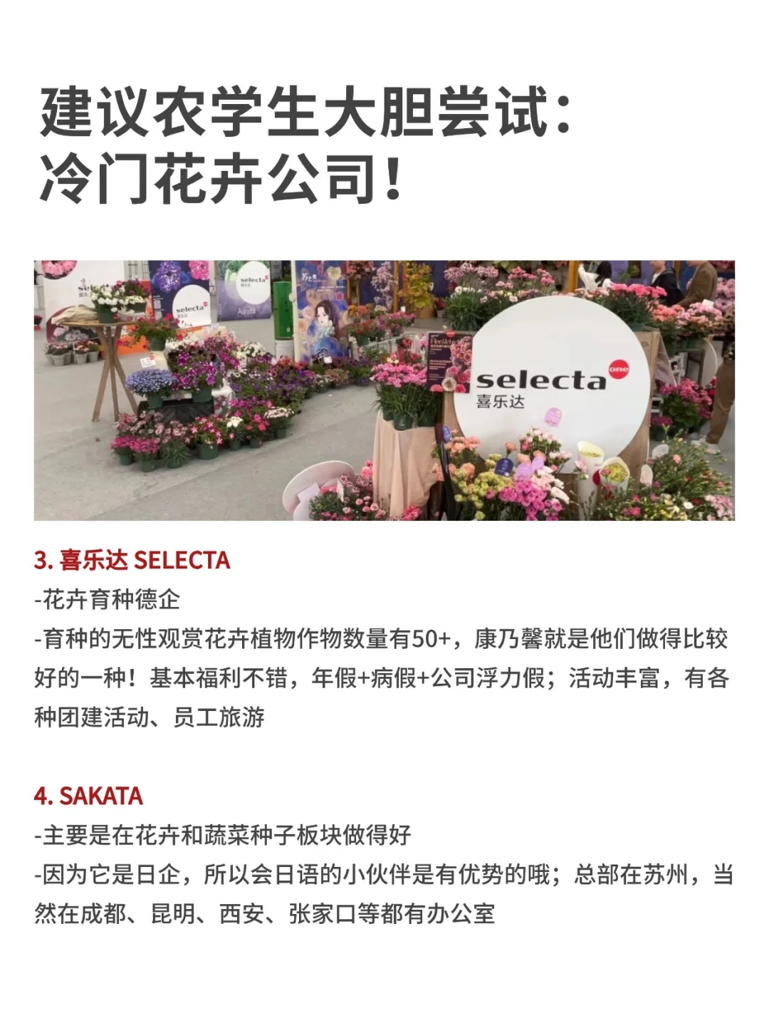 建议农学生大胆尝试：冷门花卉公司！