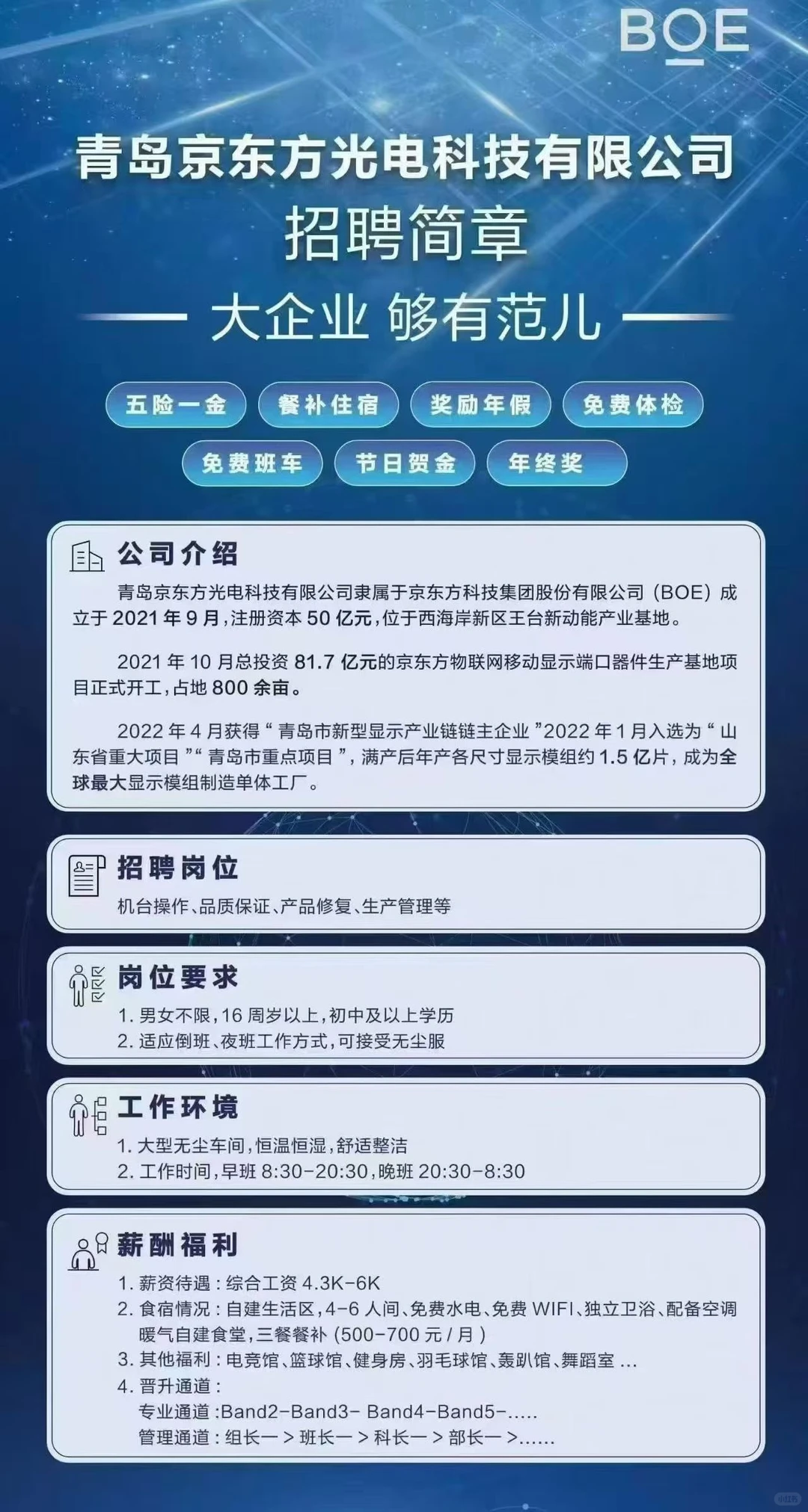 青岛京东方官方直招！