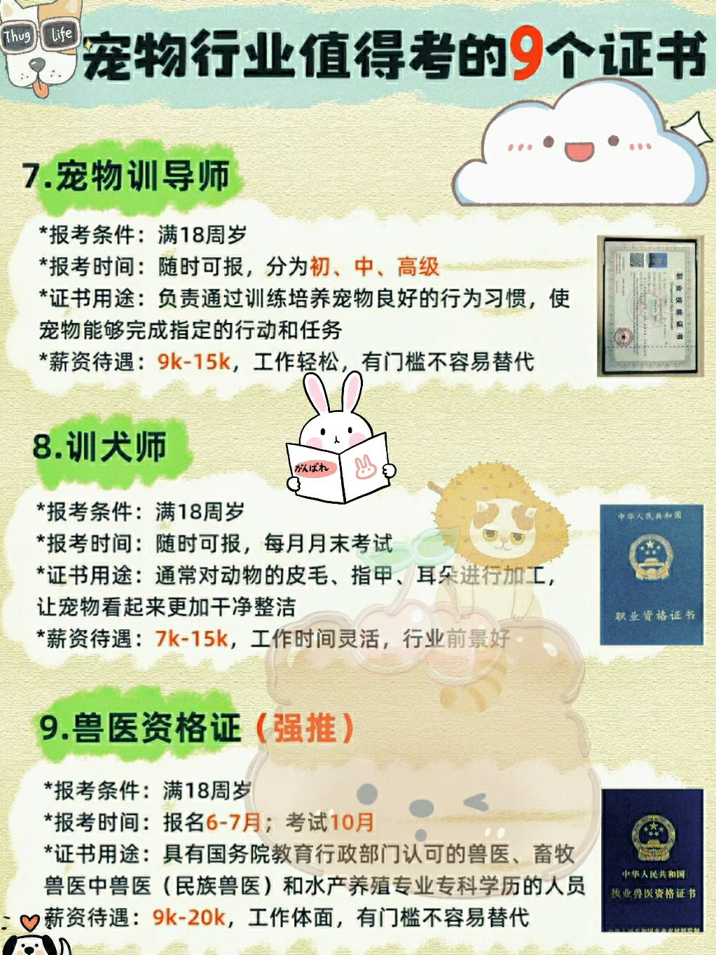 抓住未来十年风口，宠物行业巨吃香