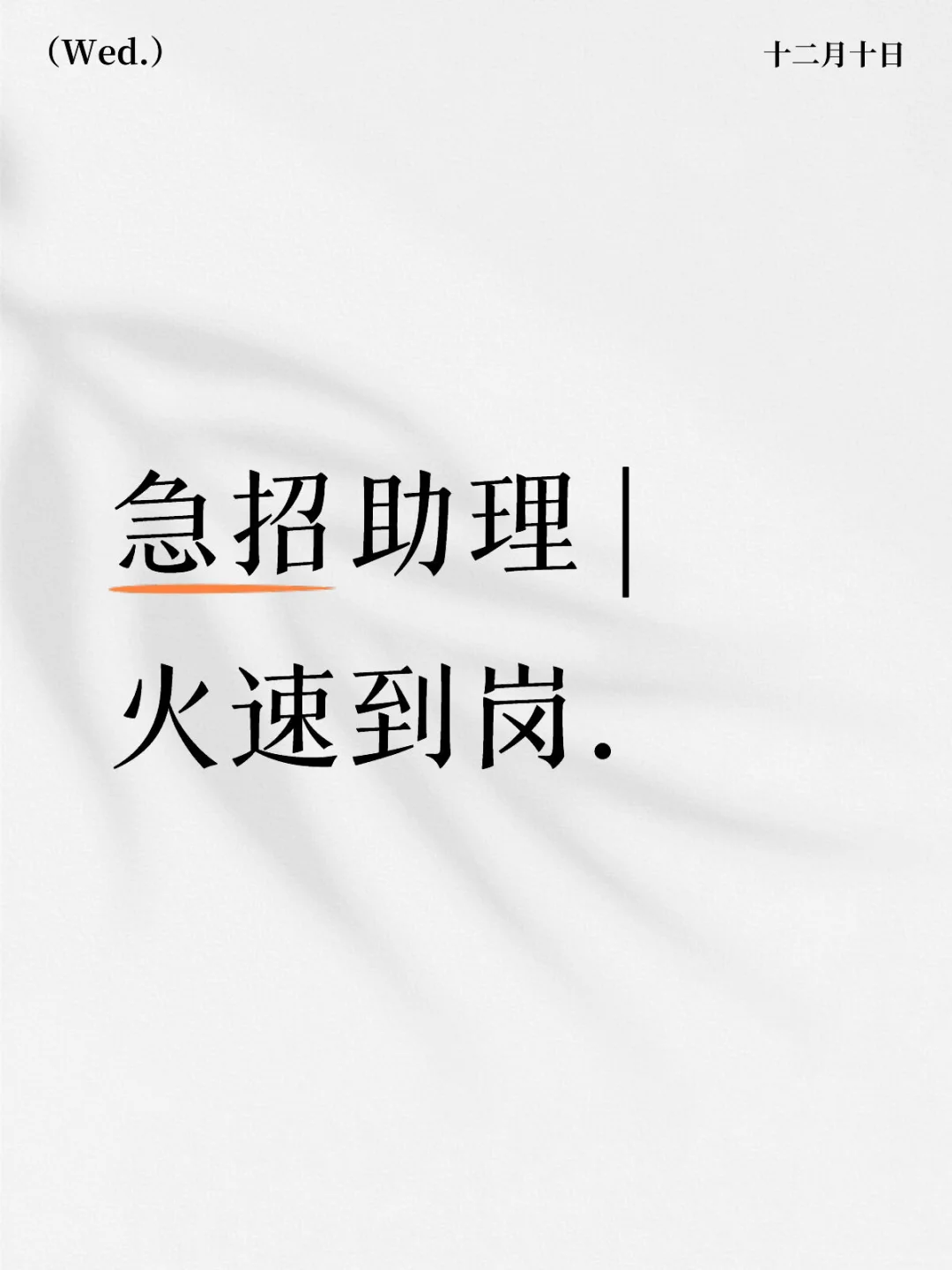 急招助理 | 火速到岗，并肩冲刺！