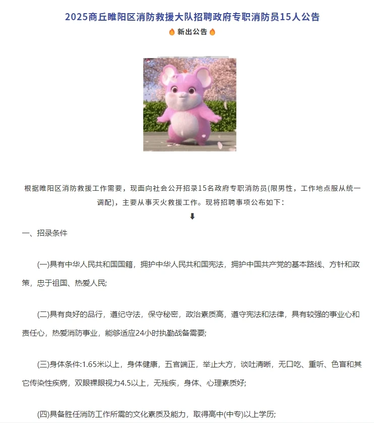 2025商丘睢阳区消防救援大队招聘