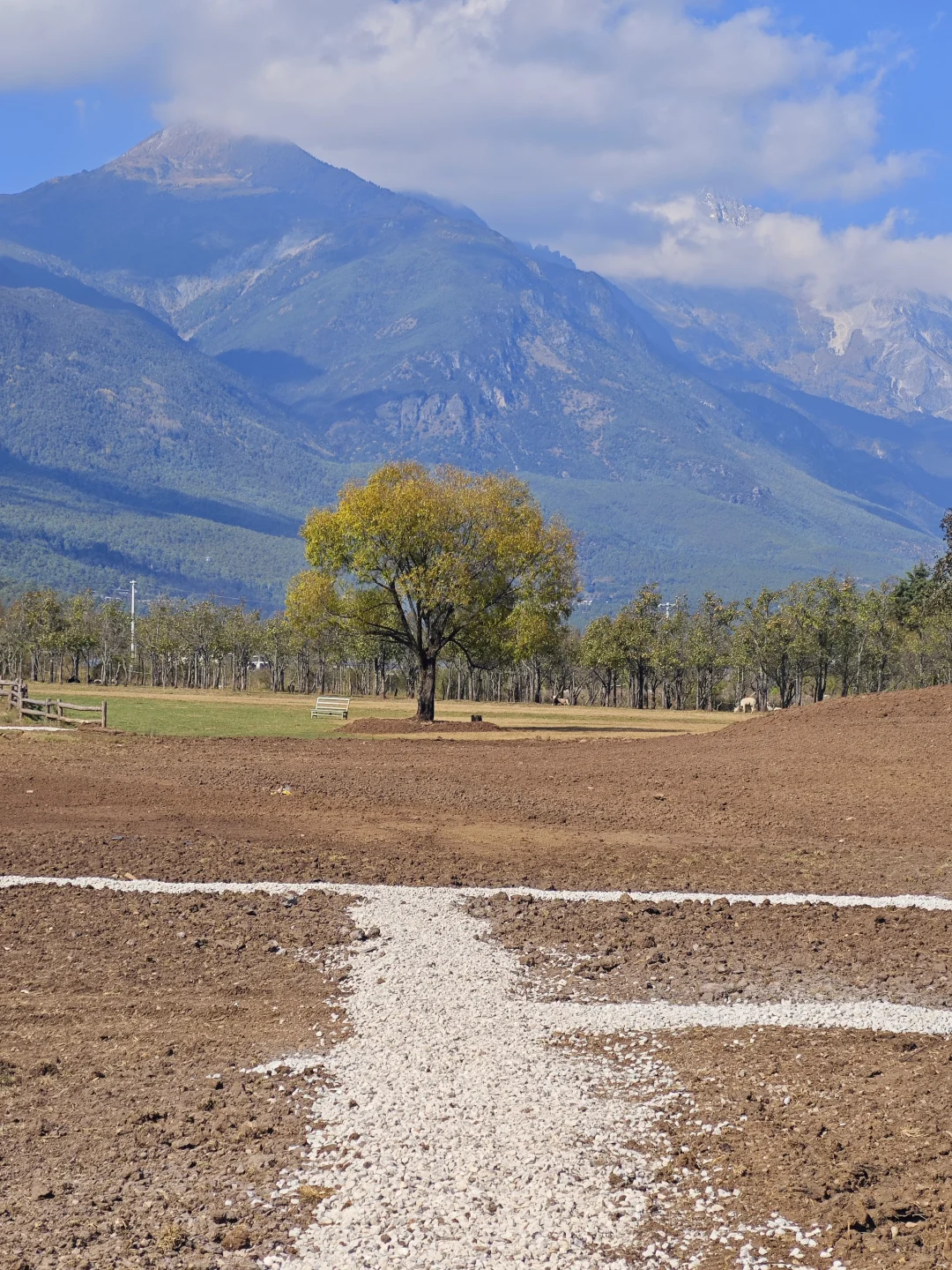 招近期义工(近期能来，每天两小时）