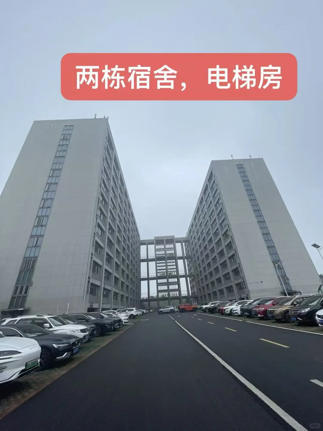 益阳槟榔厂长期稳定招工