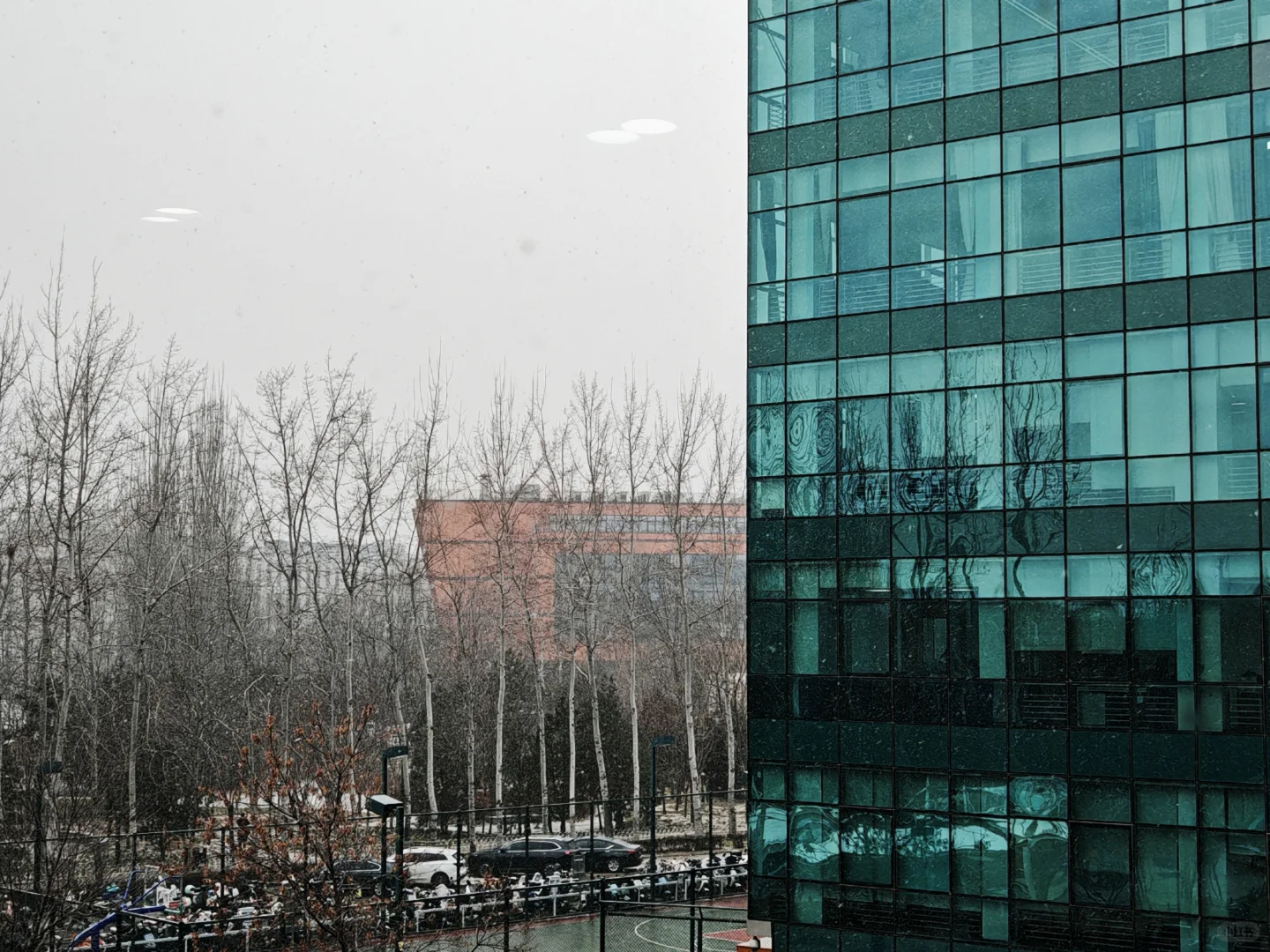 北京有没有英语口语好的在找工作呀