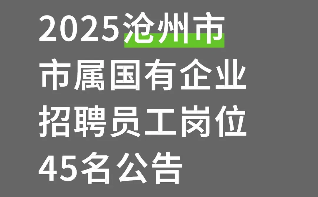 2025沧州市市属国有企业招聘员工岗位45名公
