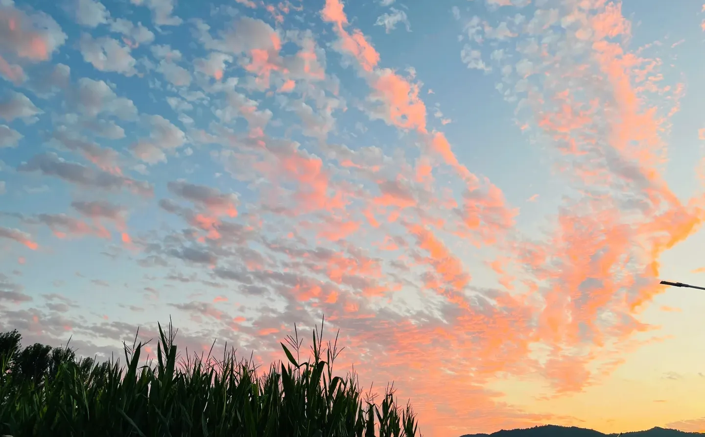 承德市翠桥找工作日结
