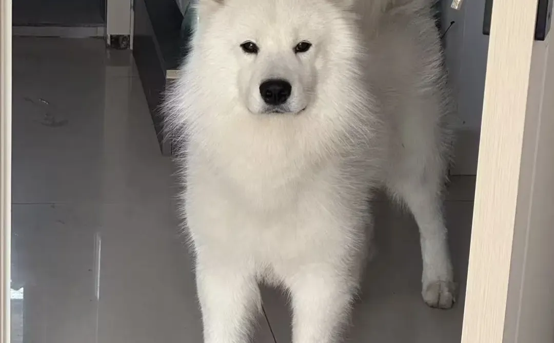 呼市日结兼职半天100🧧万象城附近