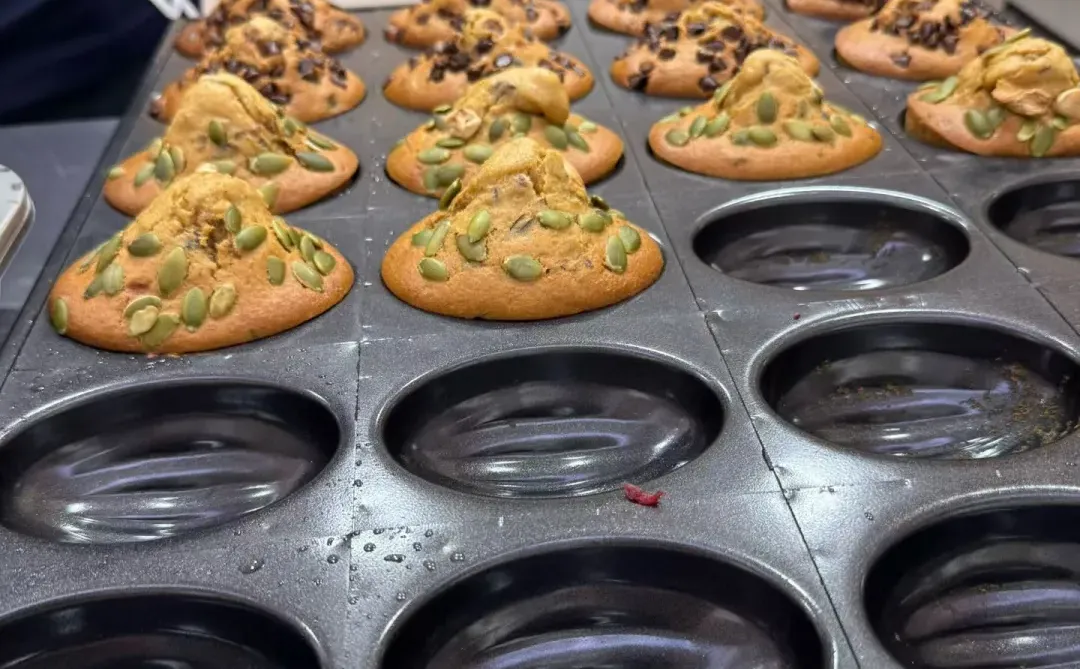 四川乐山找工作