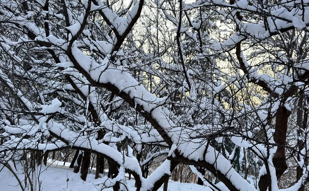 2025年12月13日四川宜宾人才引进面试题