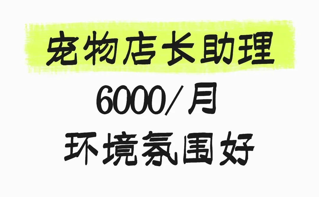 深圳宠物店店长助理6000/月 爱宠人士优先