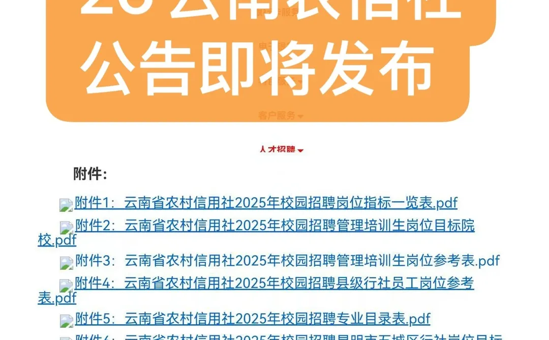 云南农信社2026年校园招聘公告即将发布