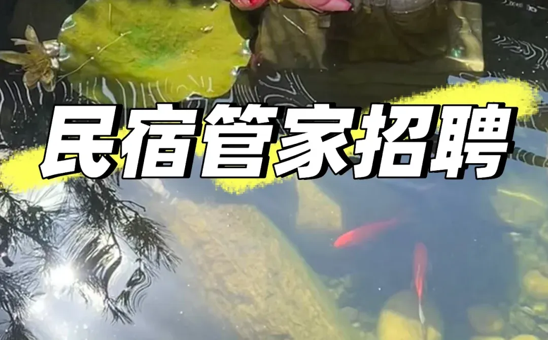 新疆民宿管家招聘