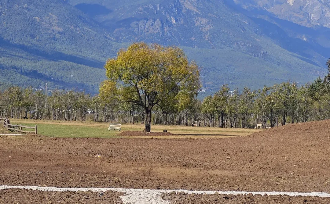 招近期义工(近期能来，每天两小时）