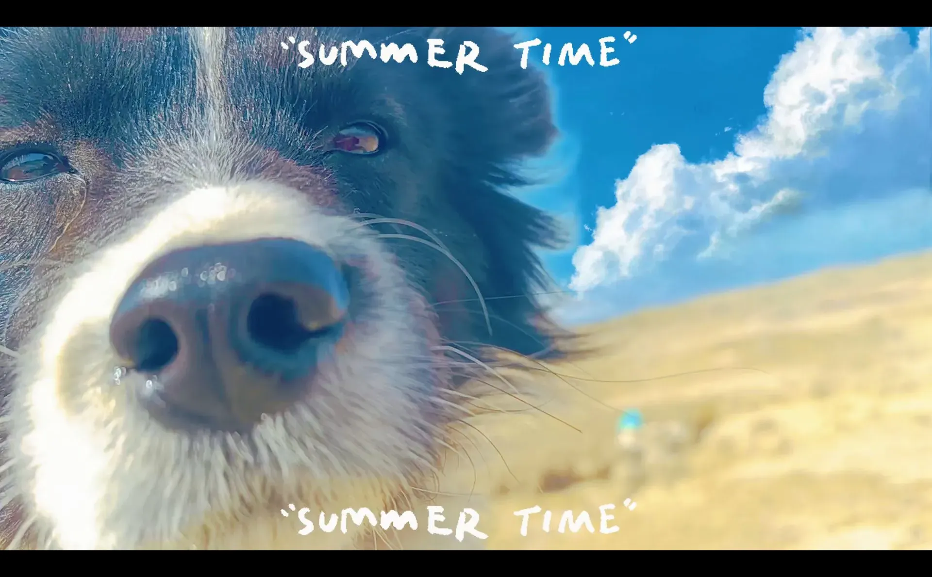 吉林人才引进驻企服务岗位