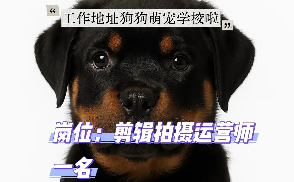 乌鲁木齐萌宠学校招聘啦