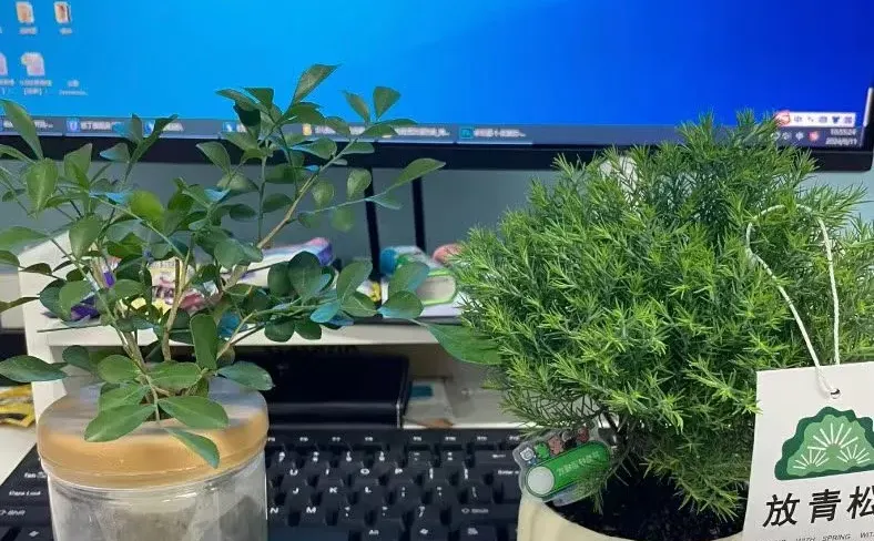 招聘安阳本地客服工作轻松简单