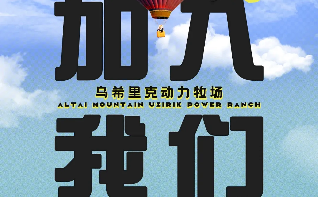 新疆阿勒泰 招聘啦 招聘啦