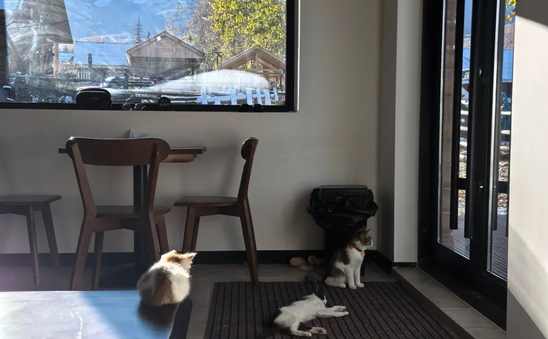 白哈巴民宿店长招聘