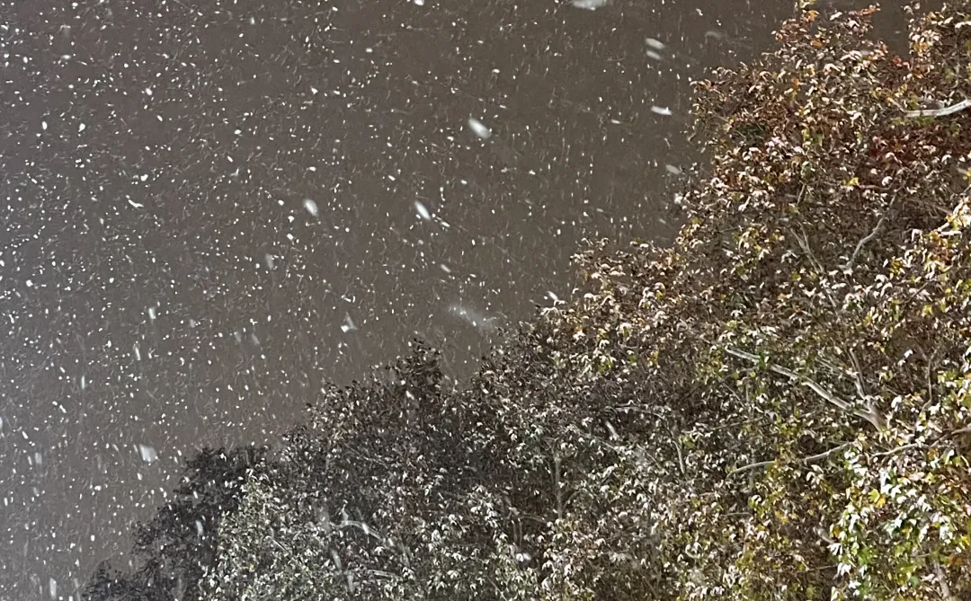 西工区 无责底薪36 00 不加班