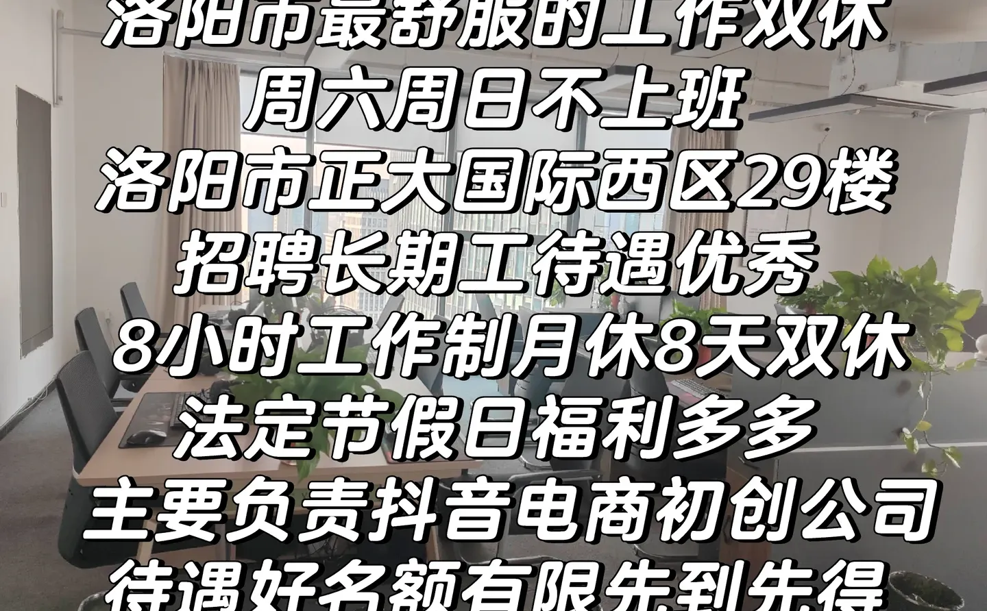 招聘双休洛阳工作