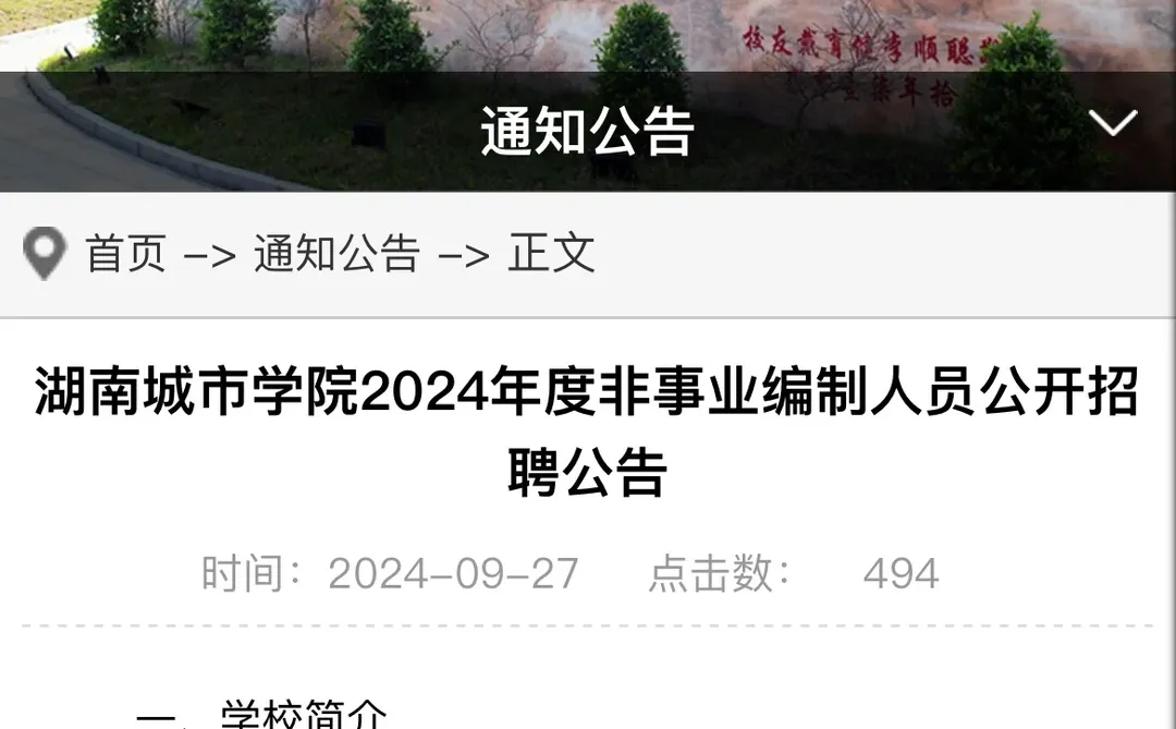 24年湖南城市学院招聘教师等（非编）公告