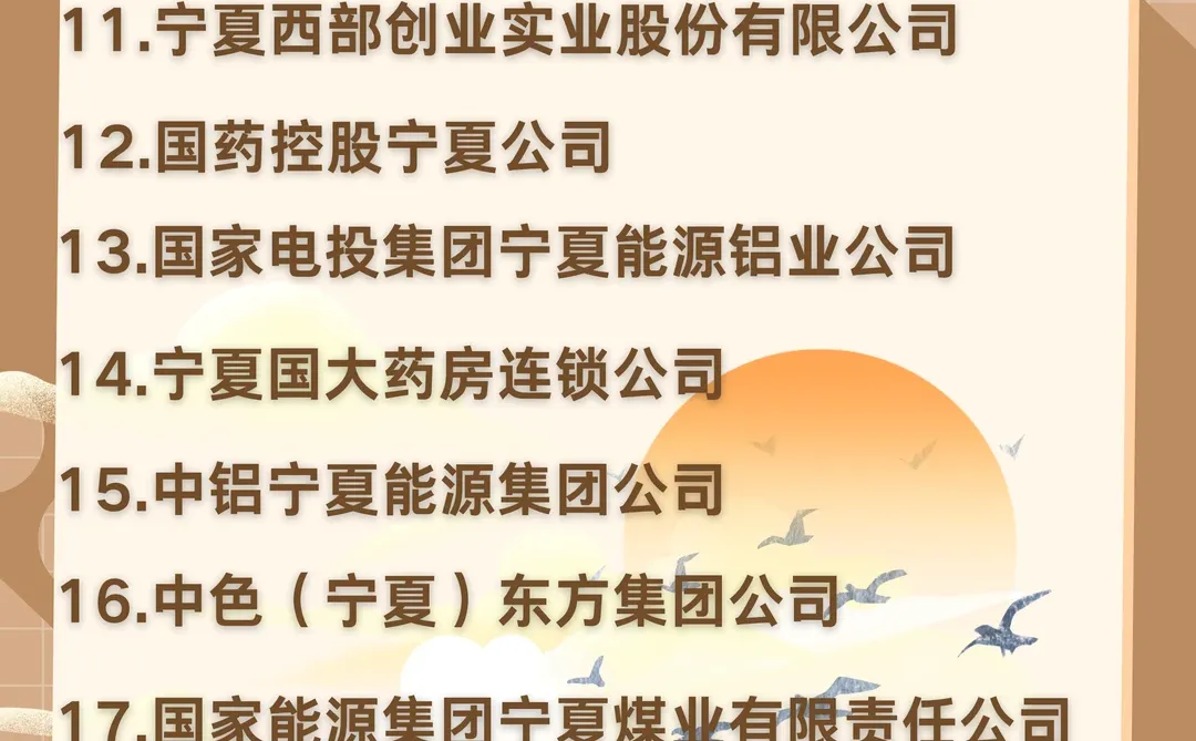 一定要去的央国企：宁夏篇~