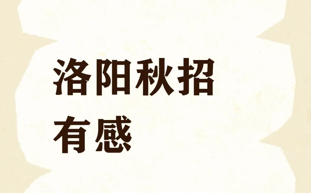 关于洛阳文科生秋招的碎碎念
