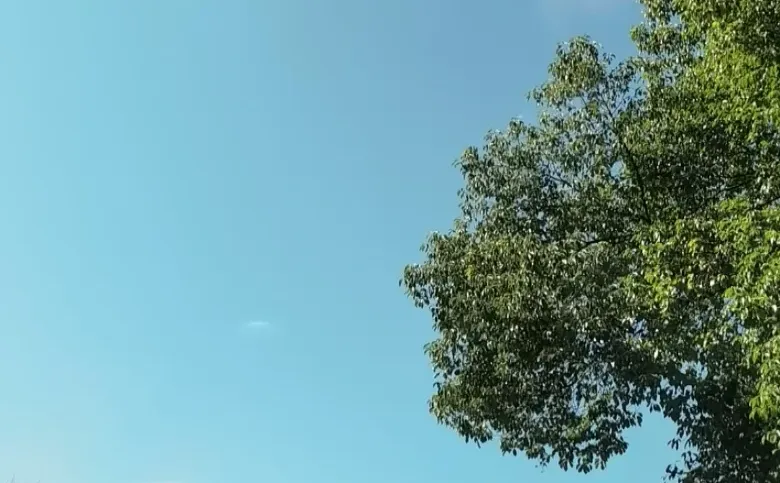 常德武陵区诚招美容师