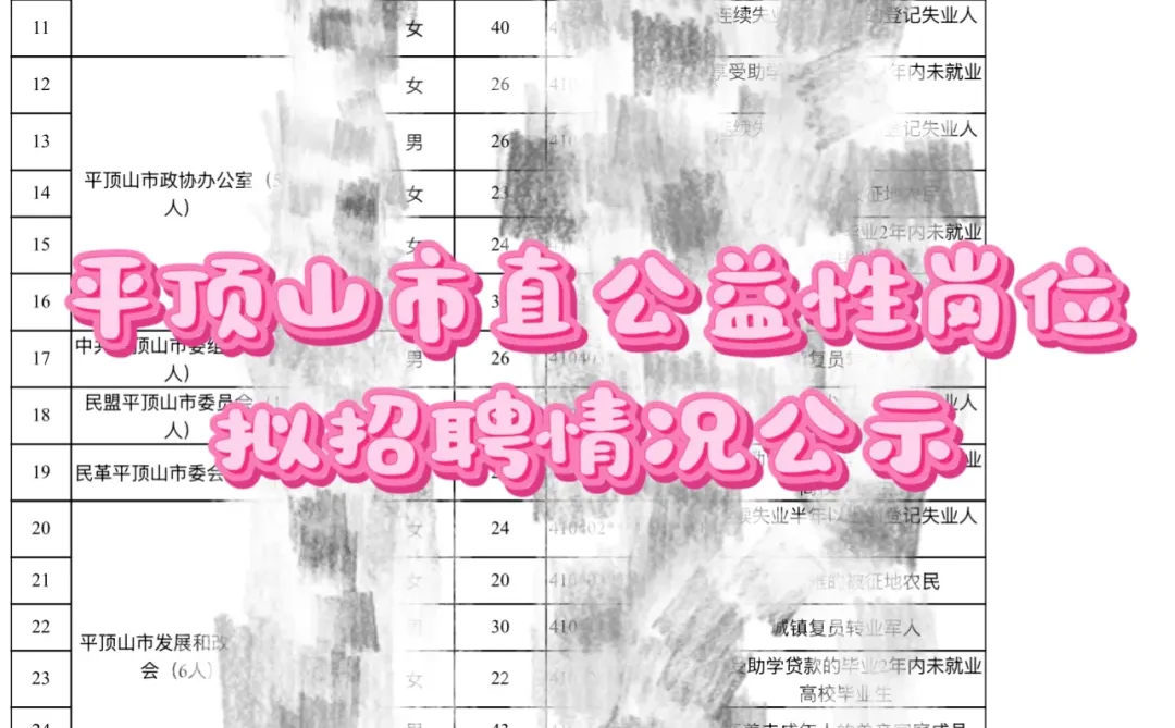平顶山第一批市直公益性岗位拟录用公示
