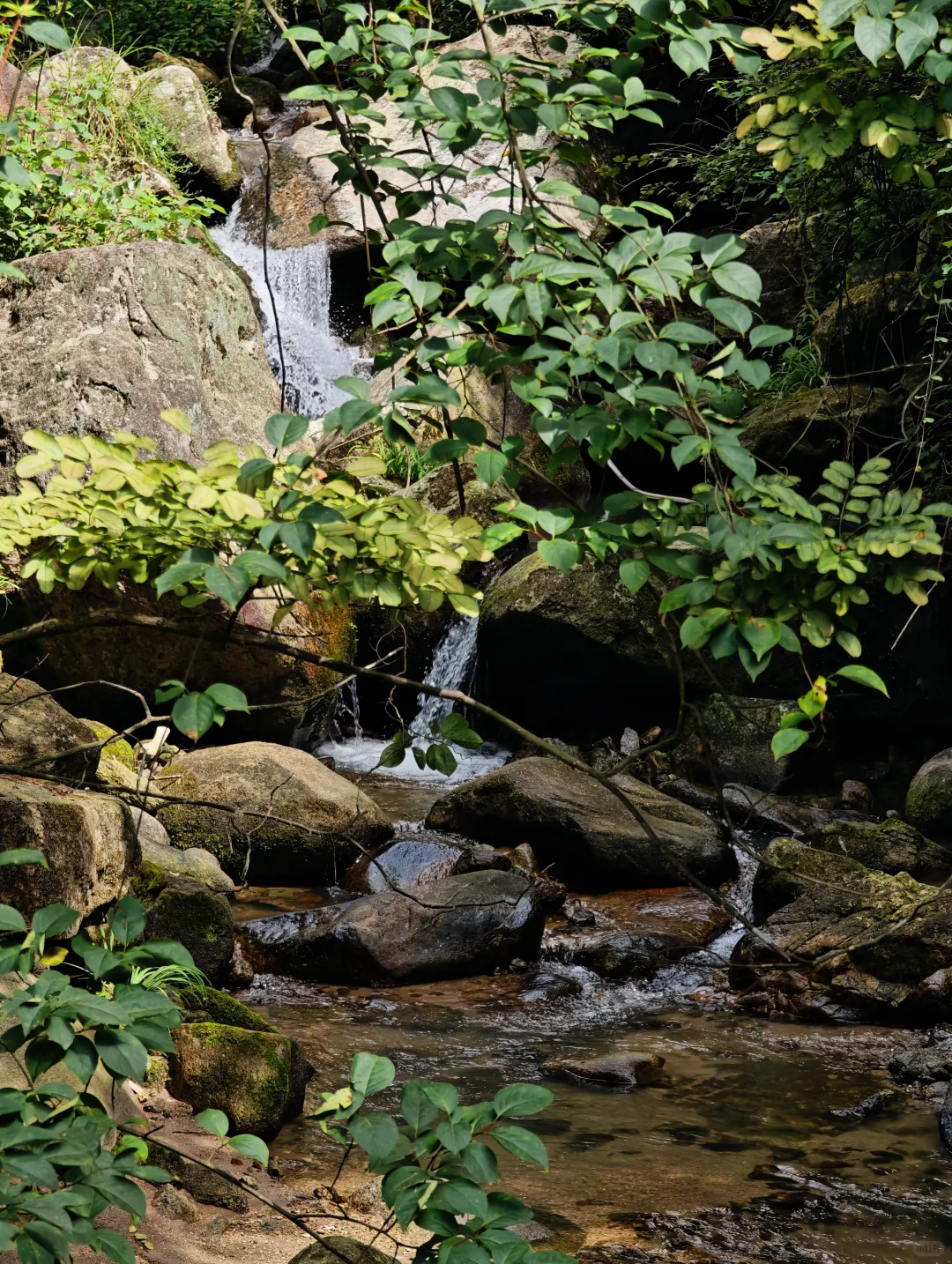 衡山书院｜寻找有热爱有理想的伙伴