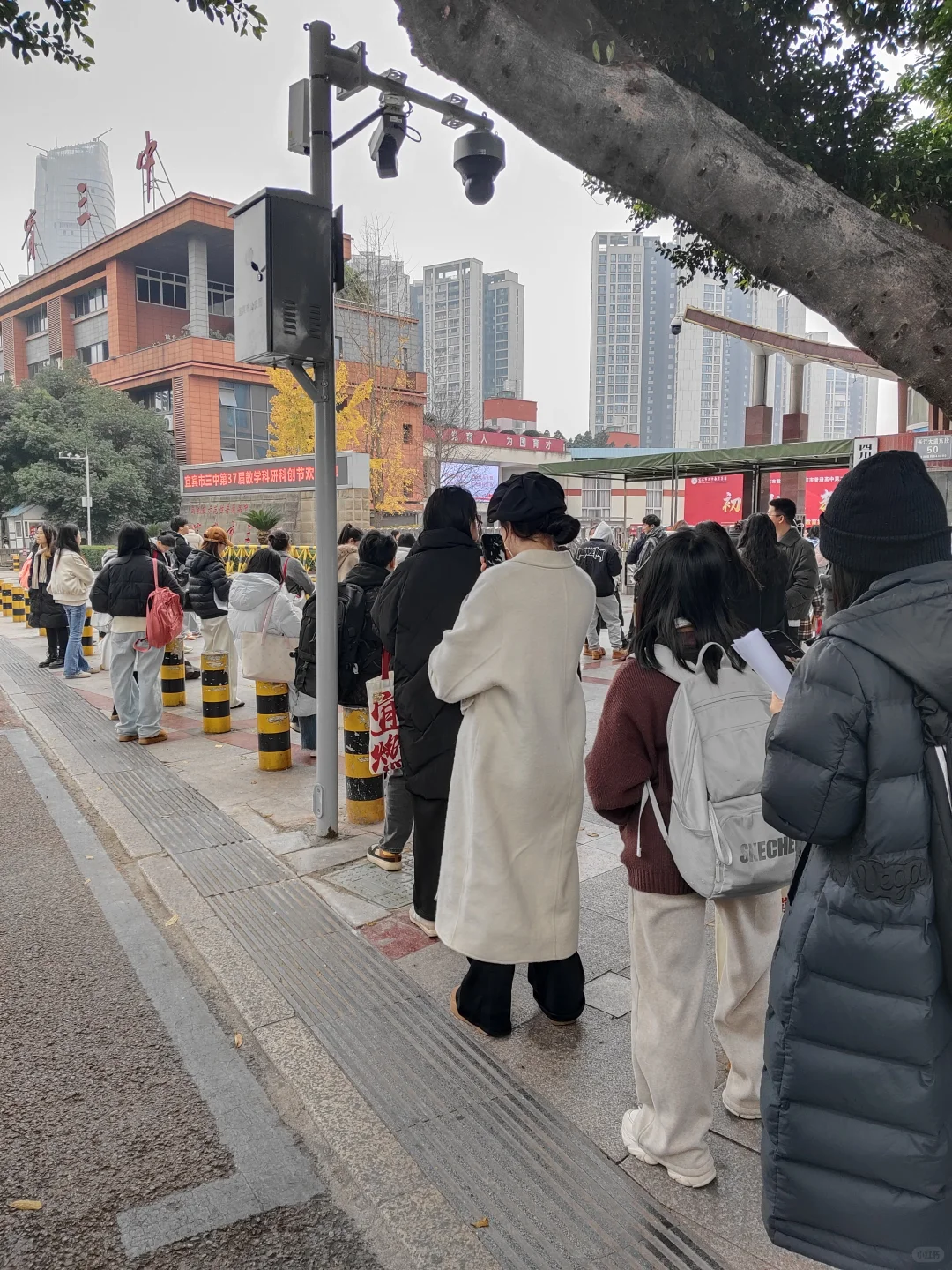 看看宜宾三中合同制这个竞争程度吧