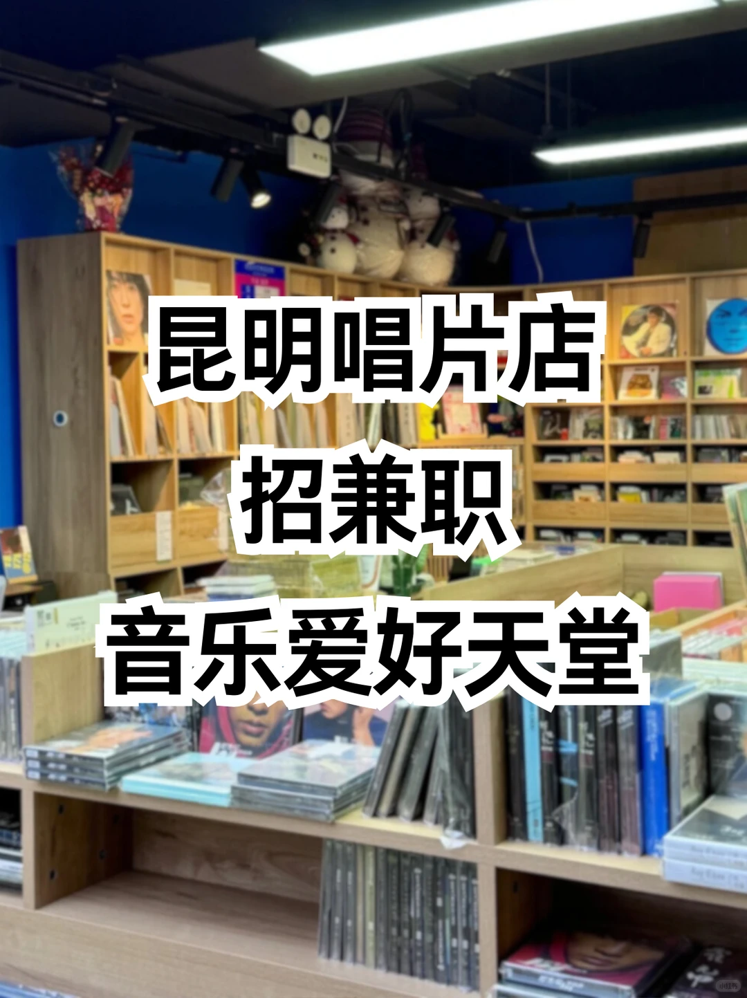 昆明唱片店招兼职🎵！音乐爱好天堂