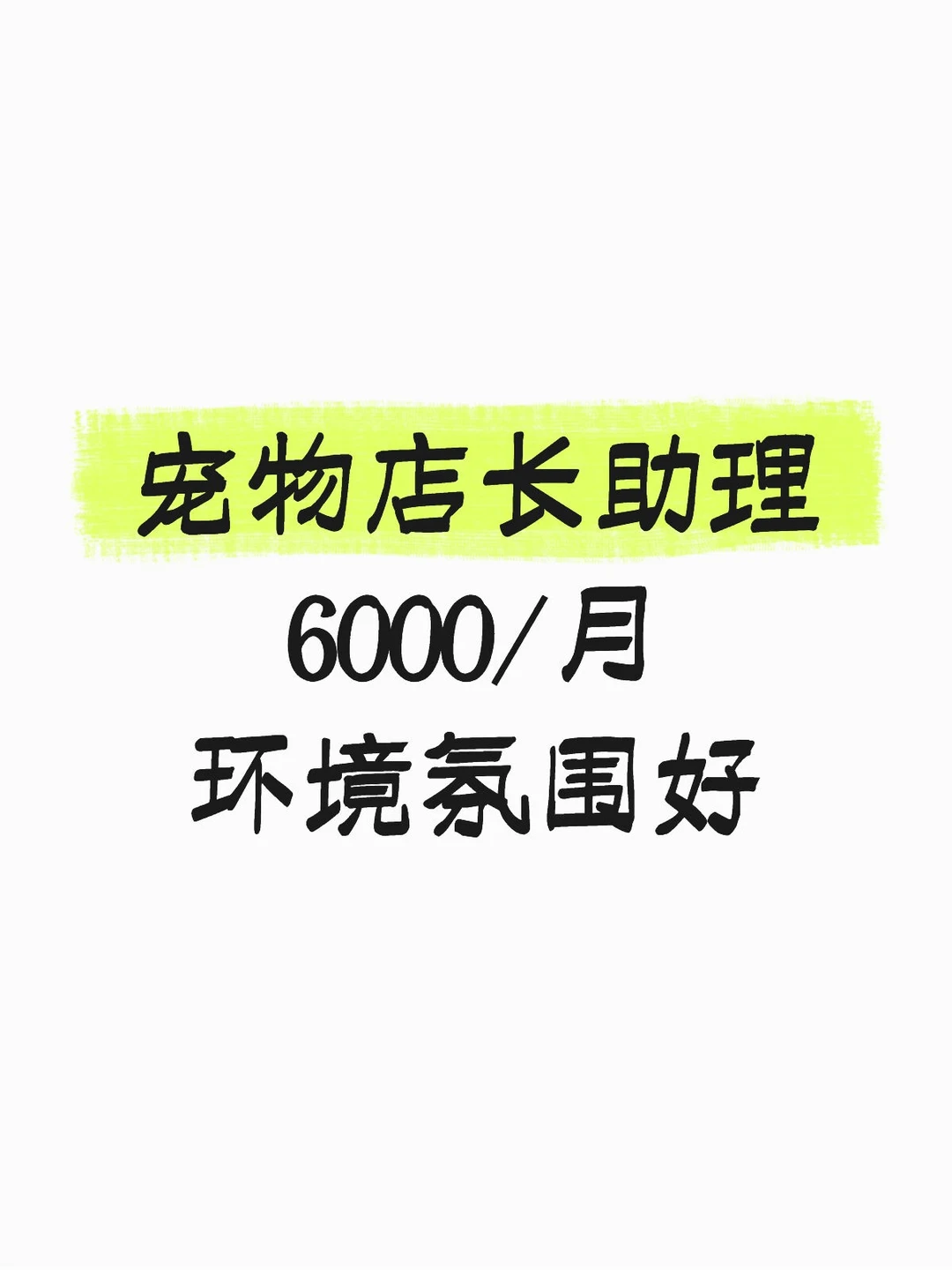 深圳宠物店店长助理6000/月 爱宠人士优先