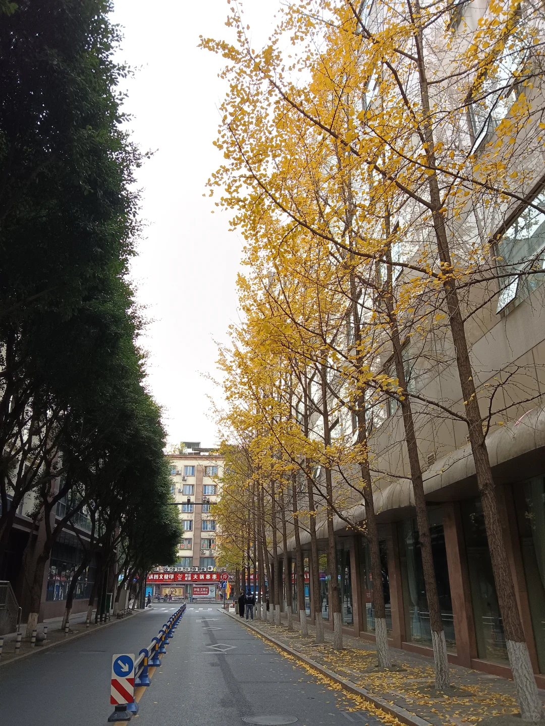 宜宾三中高新学校