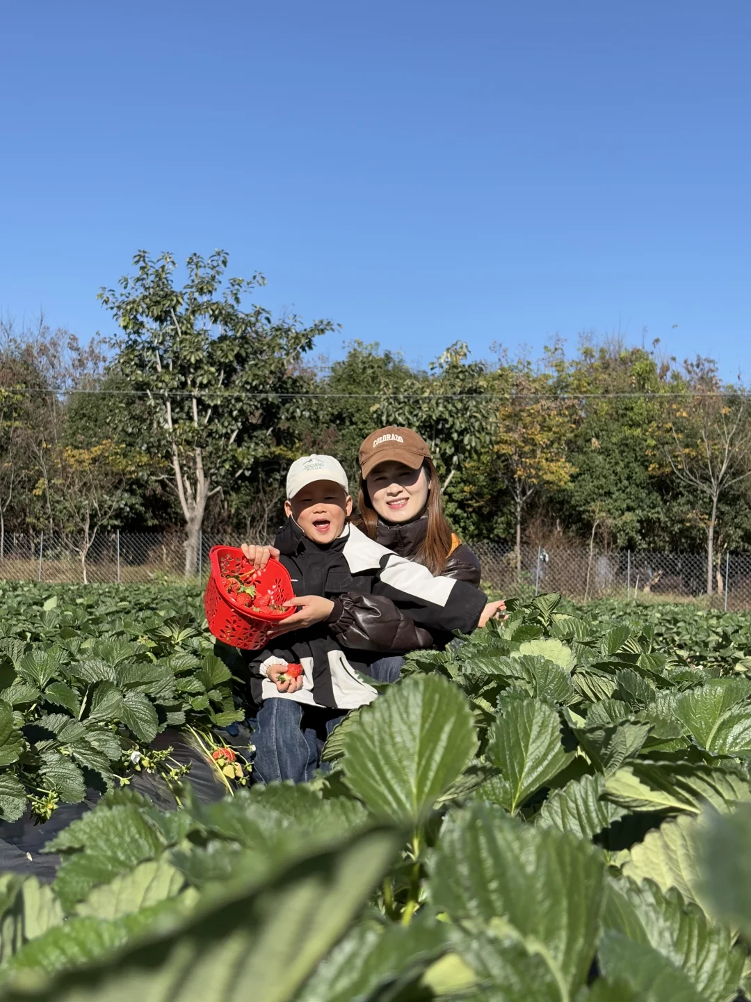 我们只招妈妈的公司开到了河南许昌啦！