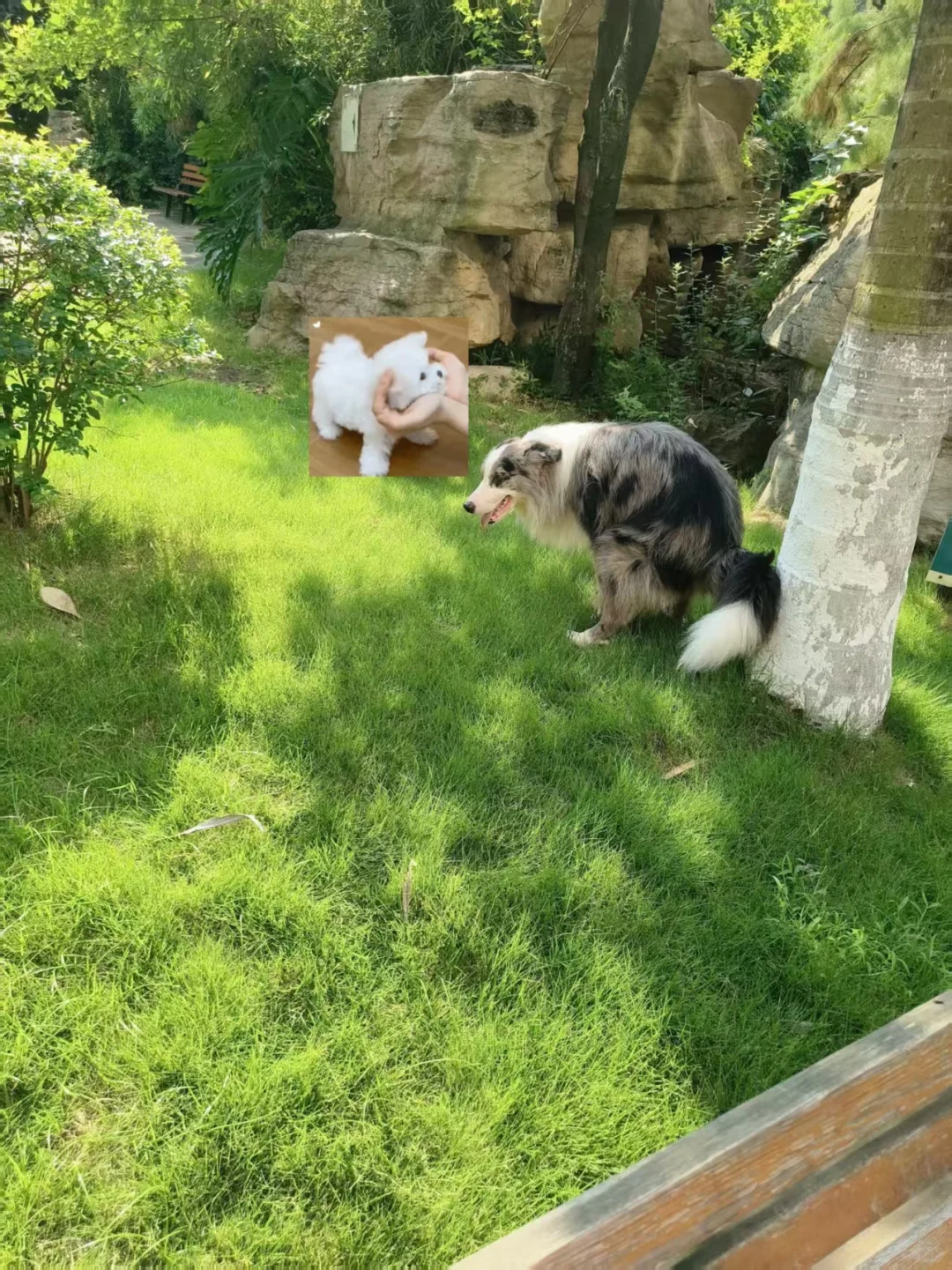 🔥招人！眉山东坡宠物饲养员招兼职！！！