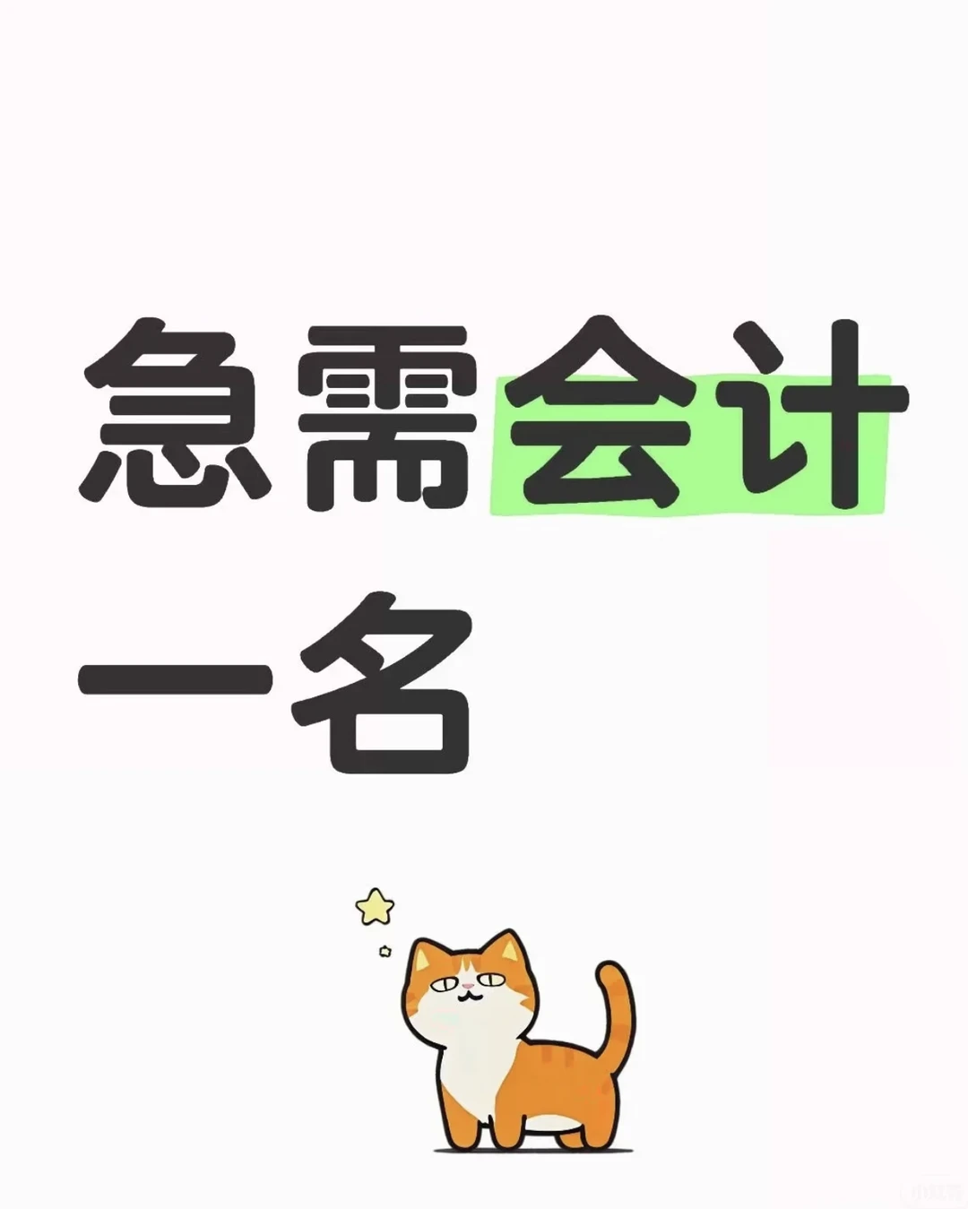 乌鲁木齐招会计一名